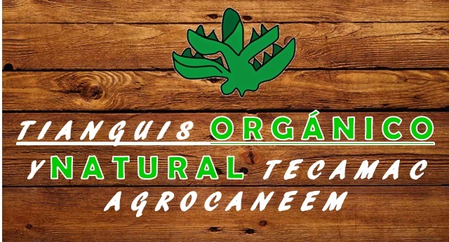 tianguis-organico-tecamac-1